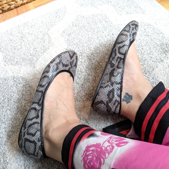 Charlotte Russe Snakeprint Flats - Picture 3 of 8